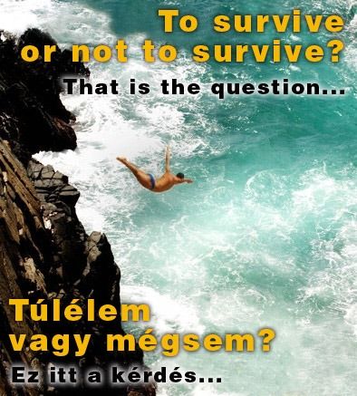 Intenzív angol nyelvtanfolyamok a Liget Nyelviskolában. www.ligetnyelviskola.hu